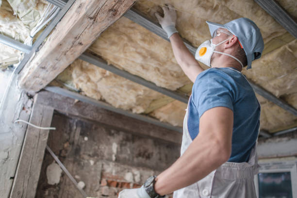 Best Residential Insulation in Myersville, MD
